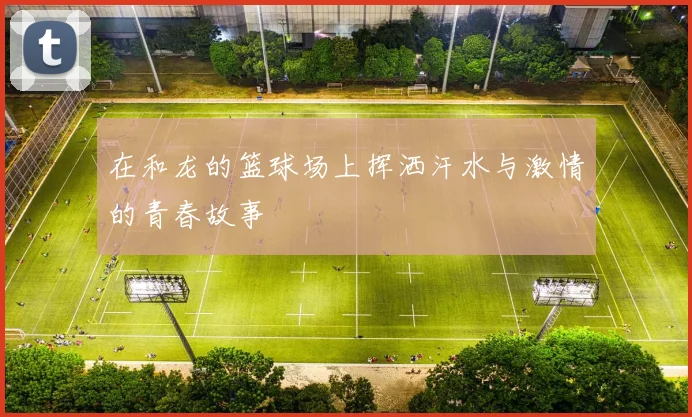 在和龙的篮球场上挥洒汗水与激情的青春故事