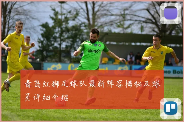 青岛红狮足球队最新阵容揭秘及球员详细介绍