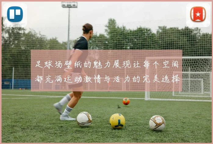 足球场壁纸的魅力展现让每个空间都充满运动激情与活力的完美选择