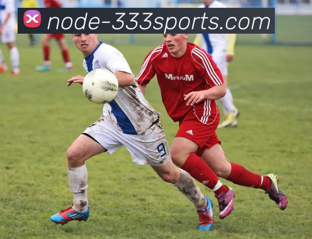 333体育中国平台生态图